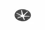 Genuine Gm Hold Down Clamp Washer 11603196. Fixed Price $18.19.