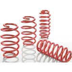 E20-40-036-01-22 Eibach Lowering Springs Set Of Front & Rear Coupe Sedan. Fixed Price $395.00.
