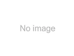 Fabtech Motorsports FT90164 Alignment Cam Pin. Fixed Price $16.79.