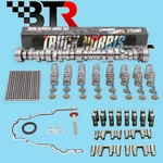 Btr Truck Norris Ls Cam Kit + Pushrods Delphi Lifters Trays 4.8 5.3 6.0 6.2L. Fixed Price $879.22.