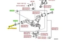 Toyota Tundra 2007-2021 Sequoia Lower Camber Adjusting Bolt Kit Genuine Oem. Fixed Price $231.70.