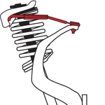 Spc Performance 67265 Alignment Camber Kit Rear 90-99 Accord Cl Tl Vigor. Fixed Price $156.92.