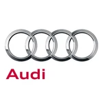 Genuine Audi Lower Control Arm Adjust Bolt WHT-008-016. Fixed Price $7.94.