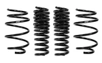 Eibach Lowering Coil Springs Set Of Fits 2016-24 Chevrolet Camaro 1LE Coupe. Fixed Price $395.00.