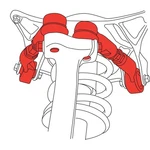 Spc Performance 81363 Alignment Caster / Camber Control Arm Front Upper. Fixed Price $930.66.